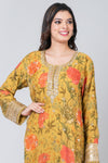 Ambri (Organza Long Kurta)