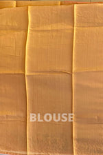 Tussar Saree In Dark Beige Colour