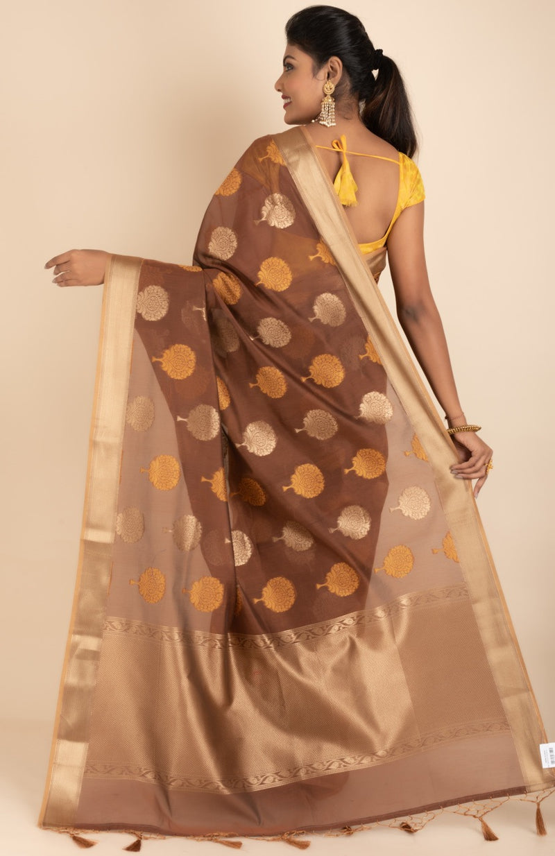 Handloom Tussar Saree With Zari Woven Work